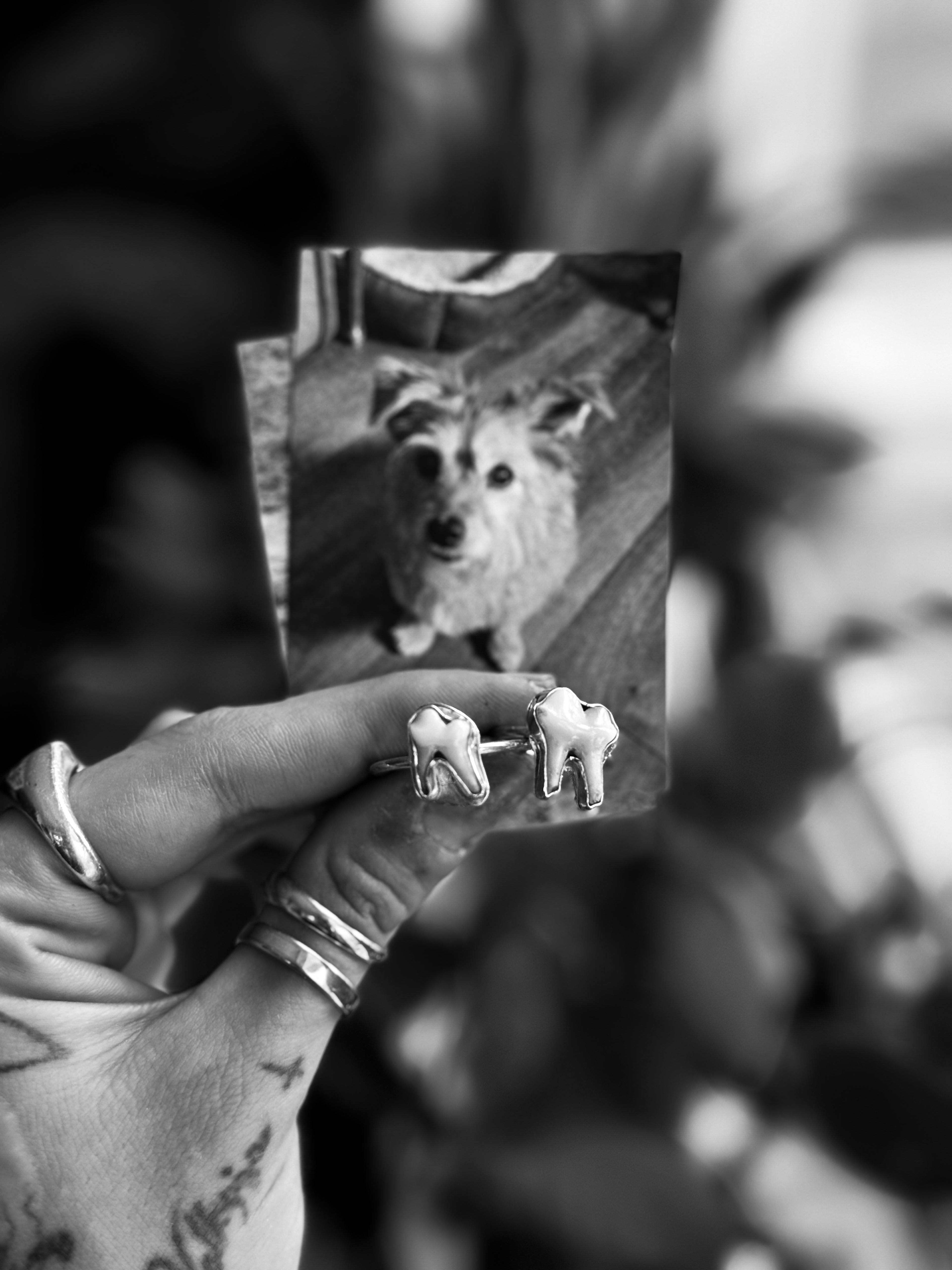 Memorial Pet Tooth Ring | 925 Silver