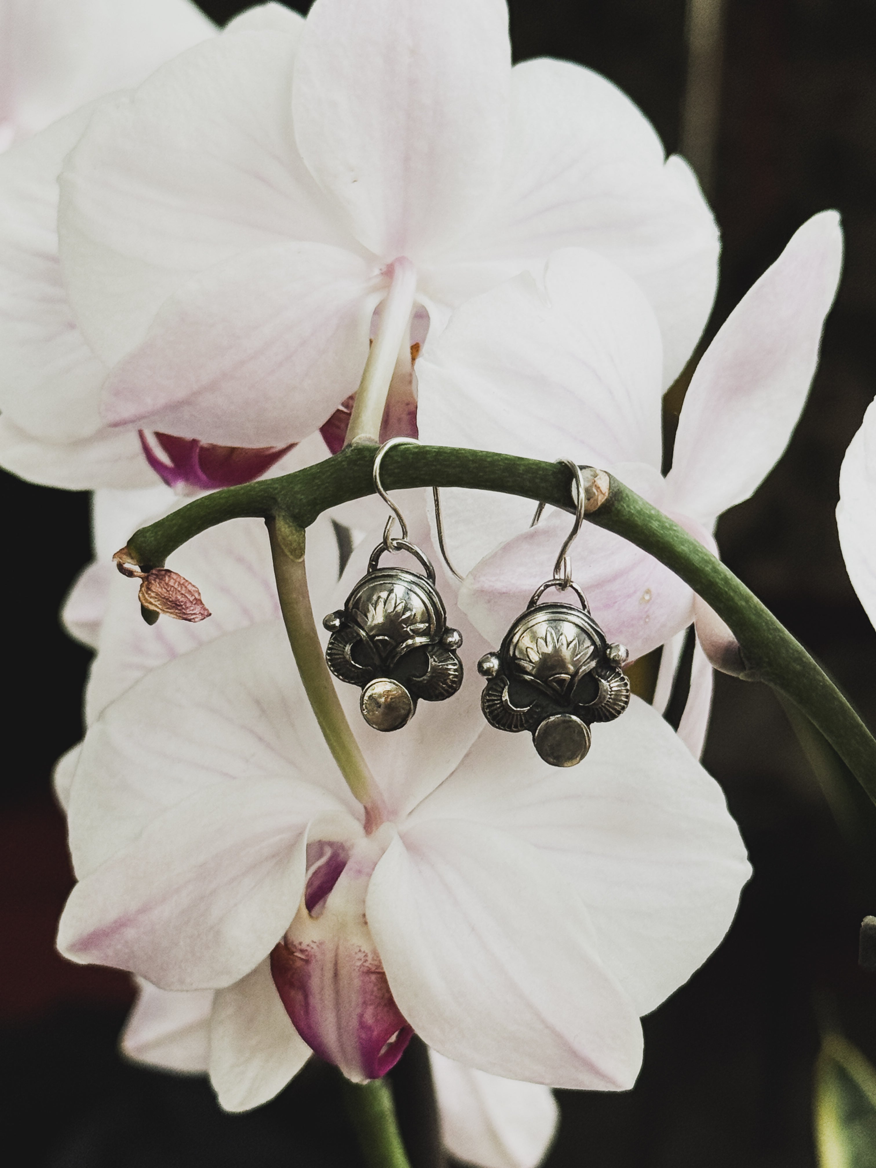 Wanderer Earrings | 925 Silver