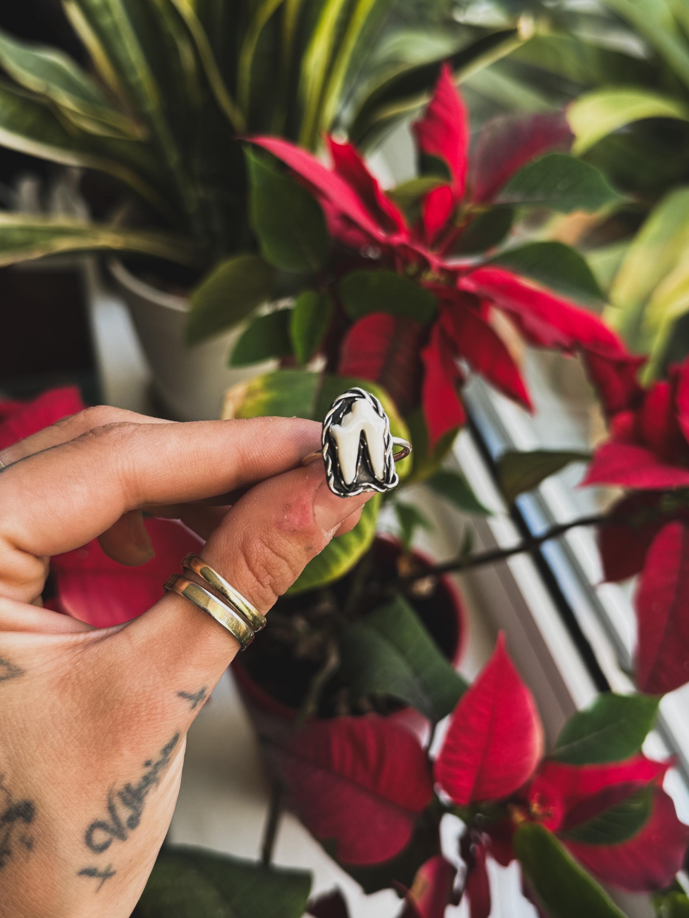 Fox Tooth Sterling Silver Ring
